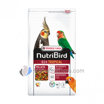 Versele Laga NutriBird G14 Tropical, 1kg (comida manutenção completa e equilibrada )