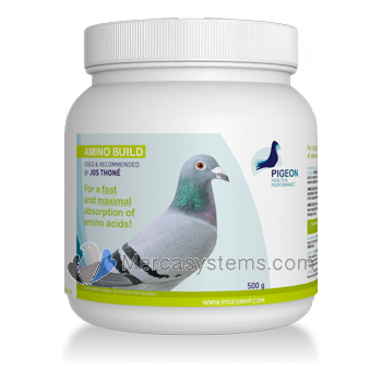 Productos e suplementos para pombos-correio: PHP Amino Build 500gr, (Para uma absorção rápida e máximo de aminoácidos!)