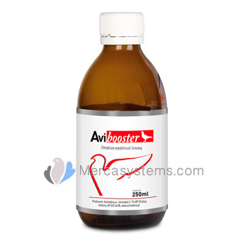 produtos para pombos de correio: AviMedica Avibooster 250ml (reforço de energia). Pombos-correio