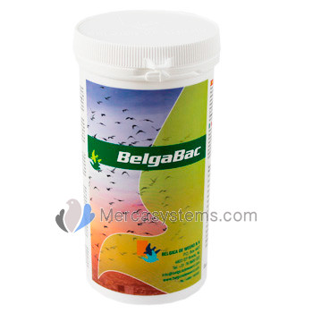 Belgica de Weerd BelgaBac 300gr (probiótico + electrolitos). Produtos para Pombos de correio 
