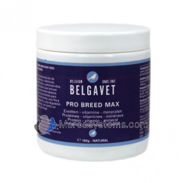 BelgaVet Pro-Breed Max Bird 150gr (proteínas, minerais e vitaminas de alta qualidade para reprodução) Para pássaros.