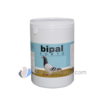 Bipal Forte 1 kg, (probióticos premium de alta qualidade, vitaminas, minerais e aminoácidos).