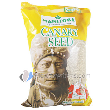 Manitoba Canary Seed 5kg, (alpiste puro do Canadá)