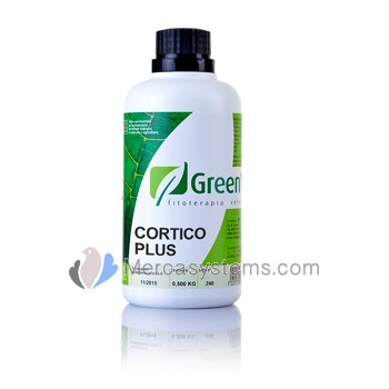 GreenVet Cortico Plus 500ml, (infecções respiratórias crónicas)