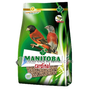 Manitoba Cardinal 800gr, (mistura profissional especial para Cardenalitos)