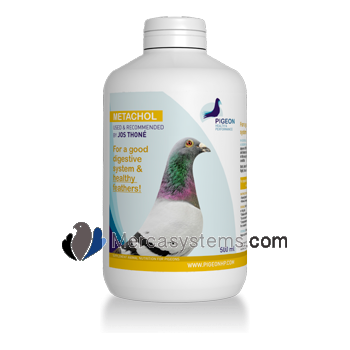 Productos e suplementos para pombos-correio: PHP Metachol 500ml (protege o fígado e os rins e ajuda a digestão)