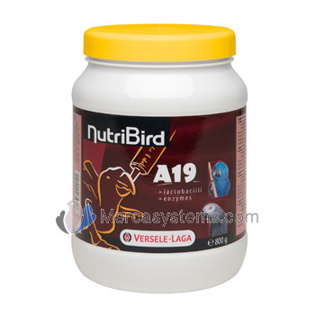 NutriBird A 19 de 800gr (Birdfood completa para criação à mão de araras, eclectus, papagaios com cabeça de falcão, papagaios cinzentos africanos e outros babybirds)