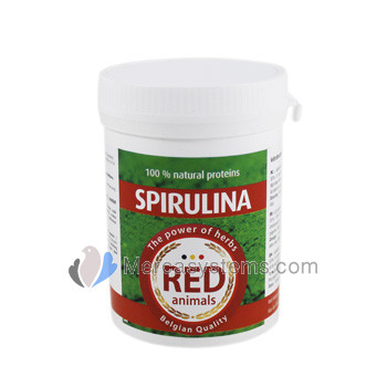 The Red Pigeon Spirulina 80 gr, (com um teor de proteína superior a 55%). Pombos e Pássaros