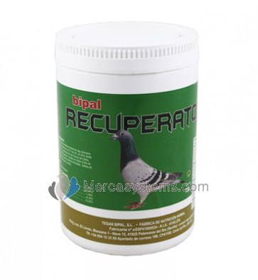 Bipal Recuperator 700 gr. (proteínas, vitamina B e minerais)