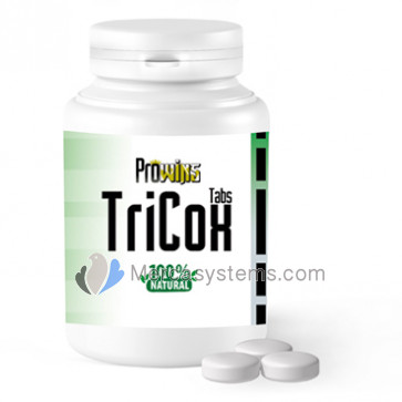 Prowins TriCoX Tabs 100 pastillas