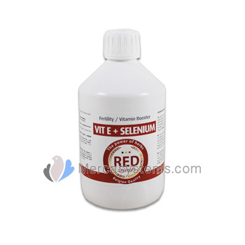 The Red Pigeon Vit E + Selenium 500 ml (vitamina E enriquecida com selênio)