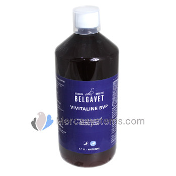 BelgaVet Vivitaline 1 litro (extractos de plantas naturales 100% naturales