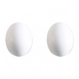 STA Grande ovo de plástico para o pombo