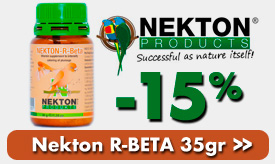 Nekton R-Beta